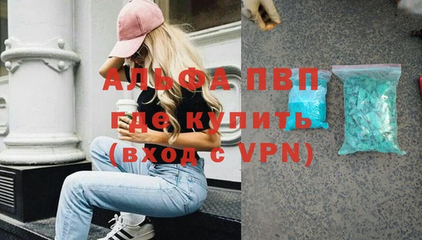 гашик Бородино