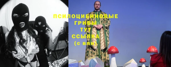 дживик Богданович