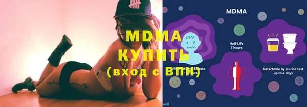 гашик Бородино