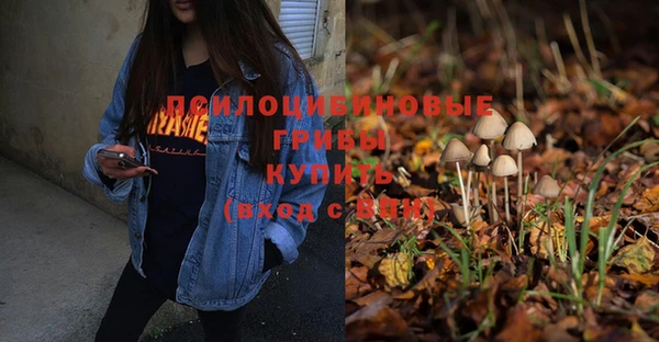 бошки Бронницы