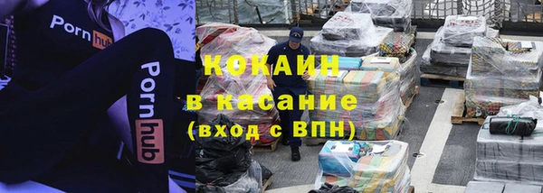бошки Бронницы