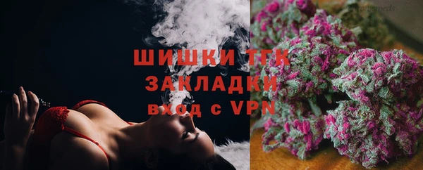 гашик Бородино